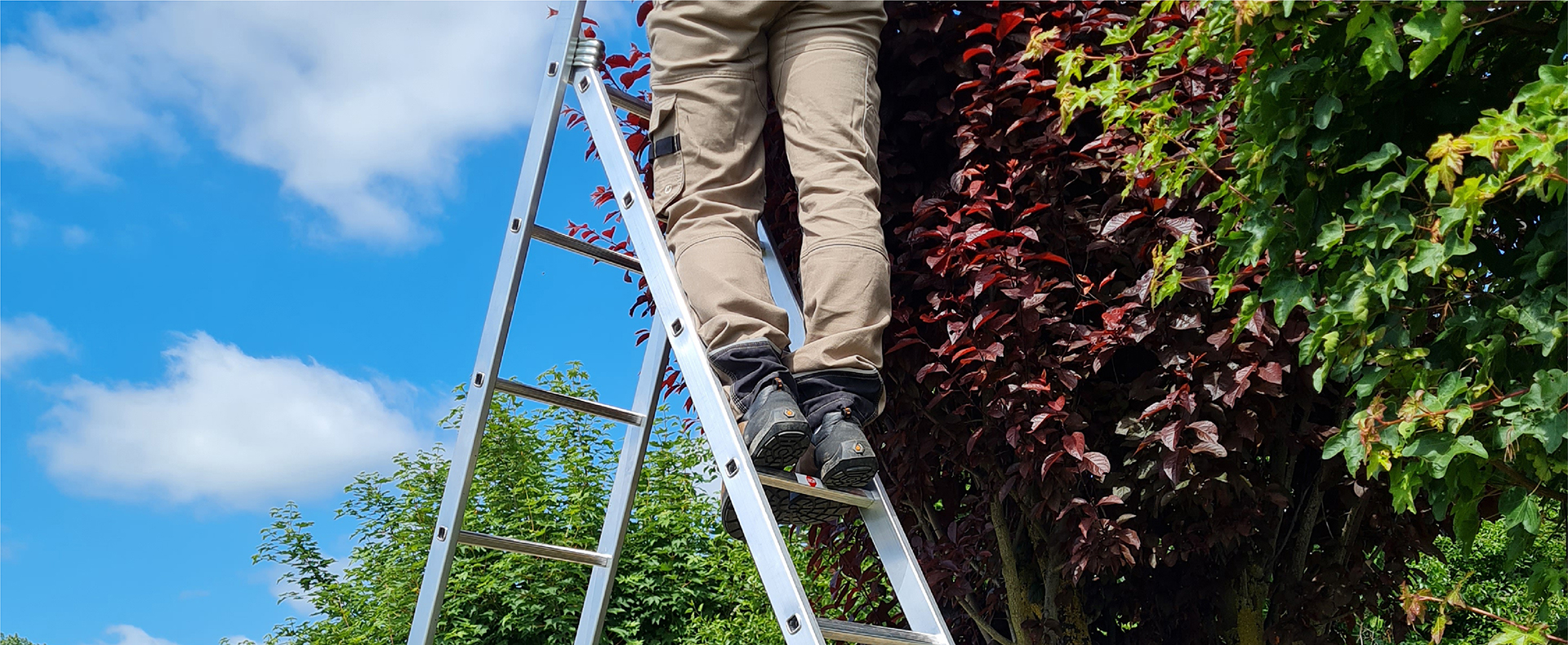 Ladders