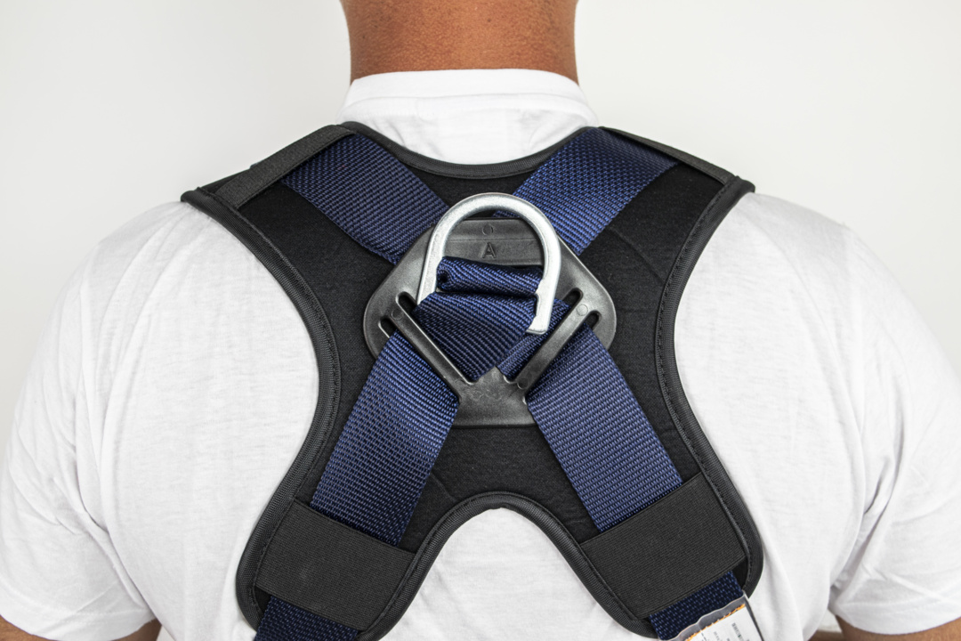 Back anchoring with ultra-comfortable padded back support