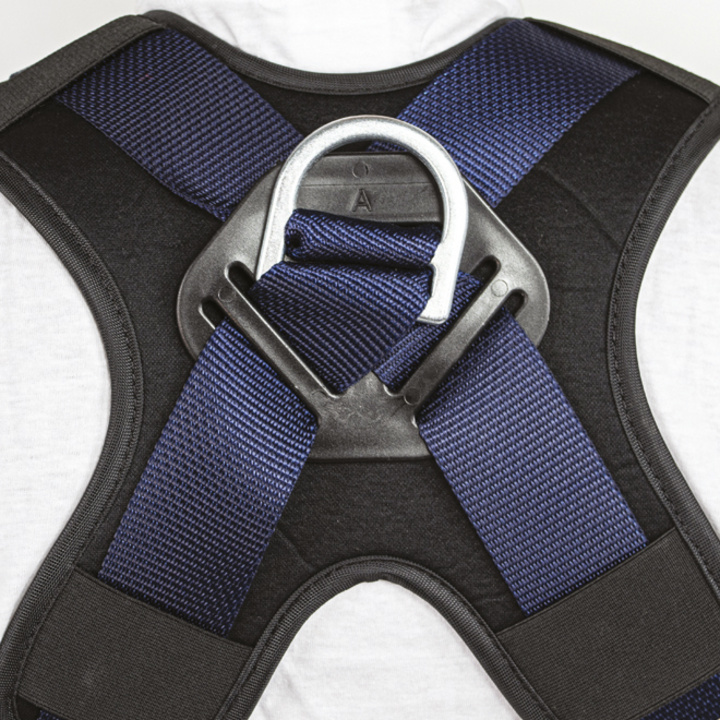 Back anchoring with ultra-comfortable padded back support
