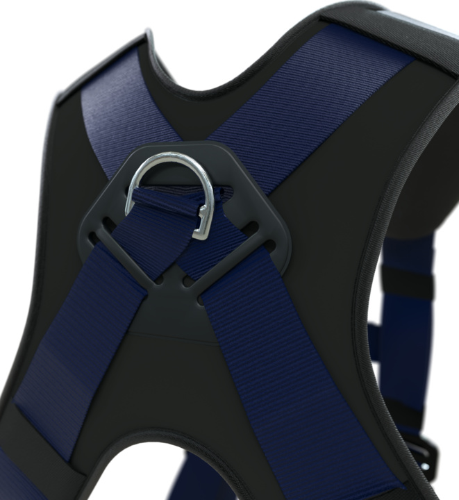 Back anchoring with ultra-comfortable padded back support