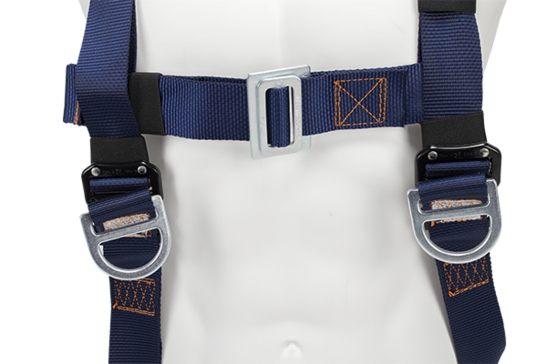 Sternal anchoring with 2 metal buckles and adjustable thorax strap