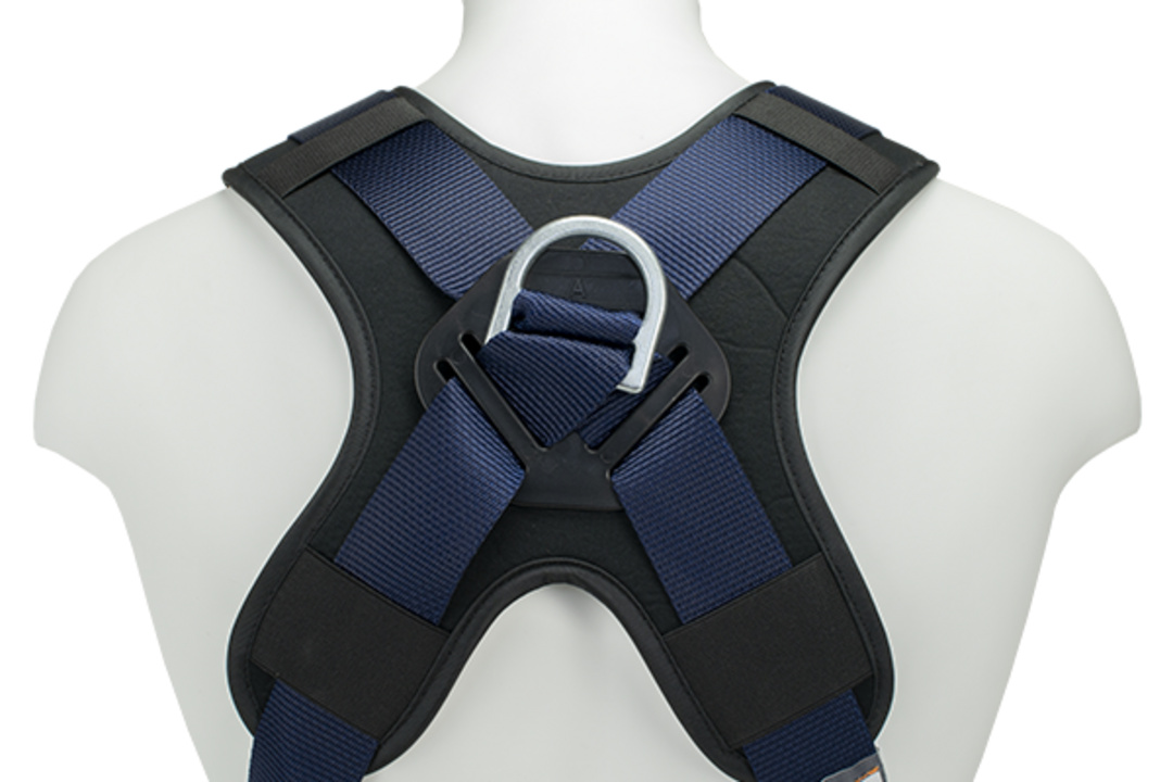 Back anchoring with ultra-comfortable padded back support