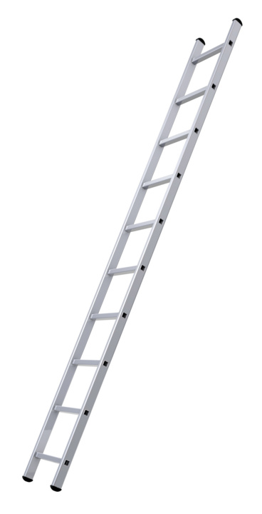 Single-section ladder